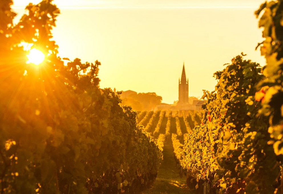 Названы лучшие вина Сент-Эмильона – Grand Cru Classé - 2022