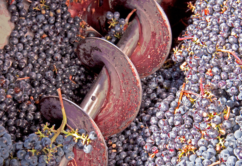 Вопрос: «Какое влияние на красное сухое вино оказывает настаивание на «гребнях»?