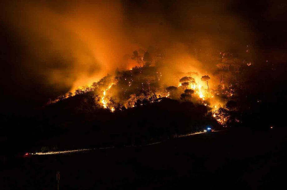Пожары на юге Европы угрожают винным терруарам