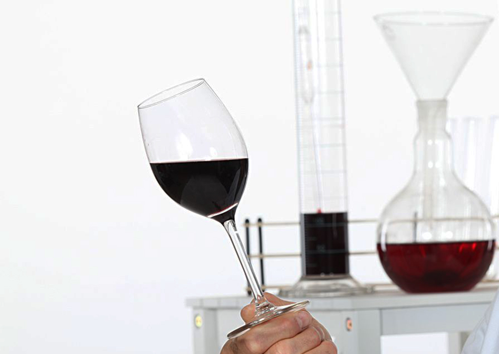 Чем полезно вино: аминокислоты