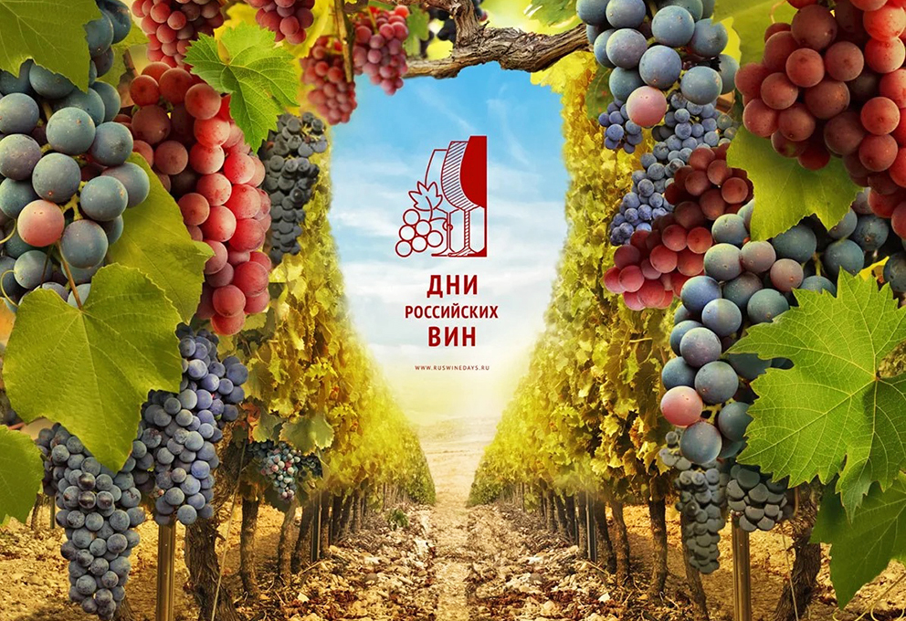 В розничных сетях начинаются Дни российских вин