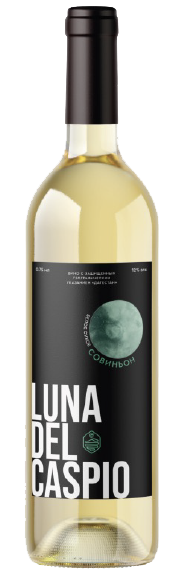 Untitled-2 copy.png Untitled-2 copy.png