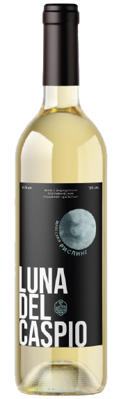 Untitled-1 copy.png Untitled-1 copy.png