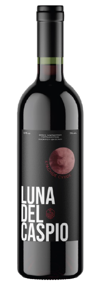 Untitled-4 copy.png Untitled-4 copy.png